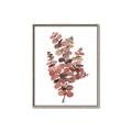 Picture of Pink Color Eucalyptus II _GroupedProduct_Rectangle_Portrait_Canvas_Framed_