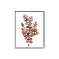 Picture of Pink Color Eucalyptus II _GroupedProduct_Rectangle_Portrait_Canvas_Framed_