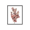 Picture of Pink Color Eucalyptus II _GroupedProduct_Rectangle_Portrait_Canvas_Framed_