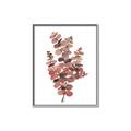 Picture of Pink Color Eucalyptus II _GroupedProduct_Rectangle_Portrait_Canvas_Framed_