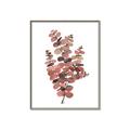 Picture of Pink Color Eucalyptus II _GroupedProduct_Rectangle_Portrait_Canvas_Framed_