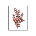 Picture of Pink Color Eucalyptus II _GroupedProduct_Rectangle_Portrait_Canvas_Framed_