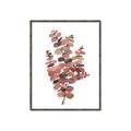 Picture of Pink Color Eucalyptus II _GroupedProduct_Rectangle_Portrait_Canvas_Framed_