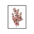 Picture of Pink Color Eucalyptus II _GroupedProduct_Rectangle_Portrait_Canvas_Framed_
