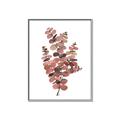 Picture of Pink Color Eucalyptus II _GroupedProduct_Rectangle_Portrait_Canvas_Framed_