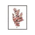 Picture of Pink Color Eucalyptus II _GroupedProduct_Rectangle_Portrait_Canvas_Framed_