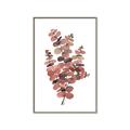 Picture of Pink Color Eucalyptus II _GroupedProduct_Rectangle_Portrait_Canvas_Framed_