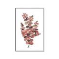 Picture of Pink Color Eucalyptus II _GroupedProduct_Rectangle_Portrait_Canvas_Framed_