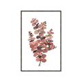 Picture of Pink Color Eucalyptus II _GroupedProduct_Rectangle_Portrait_Canvas_Framed_