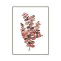 Picture of Pink Color Eucalyptus II _GroupedProduct_Rectangle_Portrait_Canvas_Framed_