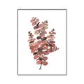 Picture of Pink Color Eucalyptus II _GroupedProduct_Rectangle_Portrait_Canvas_Framed_