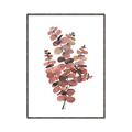 Picture of Pink Color Eucalyptus II _GroupedProduct_Rectangle_Portrait_Canvas_Framed_