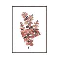 Picture of Pink Color Eucalyptus II _GroupedProduct_Rectangle_Portrait_Canvas_Framed_