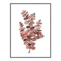 Picture of Pink Color Eucalyptus II _GroupedProduct_Rectangle_Portrait_Canvas_Framed_