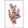 Picture of Pink Color Eucalyptus II _GroupedProduct_Rectangle_Portrait_Canvas_Framed_