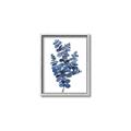 Picture of Blue Color Eucalyptus II  _GroupedProduct_Rectangle_Portrait_Canvas_Framed_