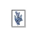 Picture of Blue Color Eucalyptus II  _GroupedProduct_Rectangle_Portrait_Canvas_Framed_