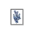 Picture of Blue Color Eucalyptus II  _GroupedProduct_Rectangle_Portrait_Canvas_Framed_