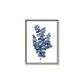 Picture of Blue Color Eucalyptus II  _GroupedProduct_Rectangle_Portrait_Canvas_Framed_