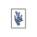 Picture of Blue Color Eucalyptus II  _GroupedProduct_Rectangle_Portrait_Canvas_Framed_