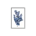 Picture of Blue Color Eucalyptus II  _GroupedProduct_Rectangle_Portrait_Canvas_Framed_