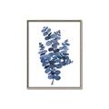 Picture of Blue Color Eucalyptus II  _GroupedProduct_Rectangle_Portrait_Canvas_Framed_