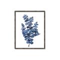Picture of Blue Color Eucalyptus II  _GroupedProduct_Rectangle_Portrait_Canvas_Framed_