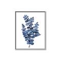 Picture of Blue Color Eucalyptus II  _GroupedProduct_Rectangle_Portrait_Canvas_Framed_