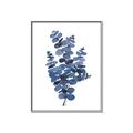 Picture of Blue Color Eucalyptus II  _GroupedProduct_Rectangle_Portrait_Canvas_Framed_