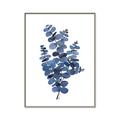 Picture of Blue Color Eucalyptus II  _GroupedProduct_Rectangle_Portrait_Canvas_Framed_