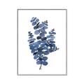 Picture of Blue Color Eucalyptus II  _GroupedProduct_Rectangle_Portrait_Canvas_Framed_