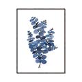 Picture of Blue Color Eucalyptus II  _GroupedProduct_Rectangle_Portrait_Canvas_Framed_