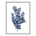 Picture of Blue Color Eucalyptus II  _GroupedProduct_Rectangle_Portrait_Canvas_Framed_
