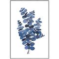 Picture of Blue Color Eucalyptus II  _GroupedProduct_Rectangle_Portrait_Canvas_Framed_