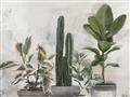 Picture of Plant Group _GroupedProduct_Rectangle_Landscape_Unframed_Print_Only_