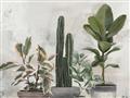 Picture of Plant Group _GroupedProduct_Rectangle_Landscape_Unframed_Print_Only_