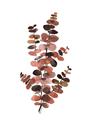 Picture of Rust Color Eucalyptus I  _GroupedProduct_Rectangle_Portrait_Unframed_Print_Only_
