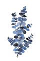 Picture of Blue Color Eucalyptus I  _GroupedProduct_Rectangle_Portrait_Unframed_Print_Only_