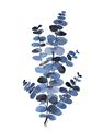 Picture of Blue Color Eucalyptus I  _GroupedProduct_Rectangle_Portrait_Unframed_Print_Only_