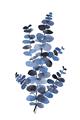 Picture of Blue Color Eucalyptus I  _GroupedProduct_Rectangle_Portrait_Unframed_Print_Only_