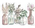 Picture of Bottled Plants I _GroupedProduct_Rectangle_Landscape_Unframed_Print_Only_