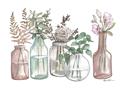 Picture of Bottled Plants I _GroupedProduct_Rectangle_Landscape_Unframed_Print_Only_