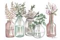 Picture of Bottled Plants I _GroupedProduct_Rectangle_Landscape_Unframed_Print_Only_
