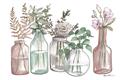 Picture of Bottled Plants I _GroupedProduct_Rectangle_Landscape_Unframed_Print_Only_
