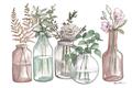 Picture of Bottled Plants I _GroupedProduct_Rectangle_Landscape_Unframed_Print_Only_