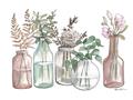 Picture of Bottled Plants I _GroupedProduct_Rectangle_Landscape_Unframed_Print_Only_