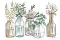 Picture of Bottled Plants Neutral I  _GroupedProduct_Rectangle_Landscape_Unframed_Print_Only_