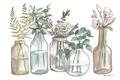 Picture of Bottled Plants Neutral I  _GroupedProduct_Rectangle_Landscape_Unframed_Print_Only_