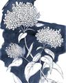 Picture of Hydrangea flower on blue bkg _GroupedProduct_Rectangle_Portrait_Unframed_Print_Only_