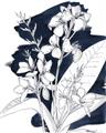 Picture of Blue & White Flower I  _GroupedProduct_Rectangle_Portrait_Unframed_Print_Only_